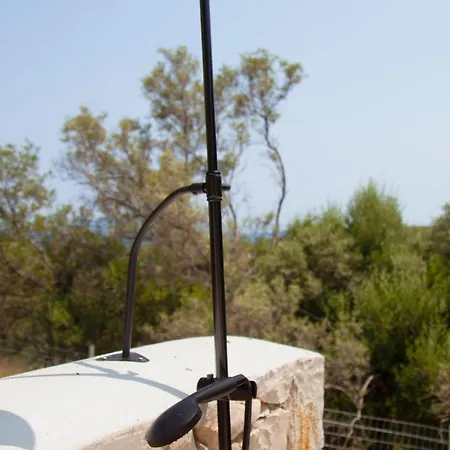 Dara And Todd * Сивота