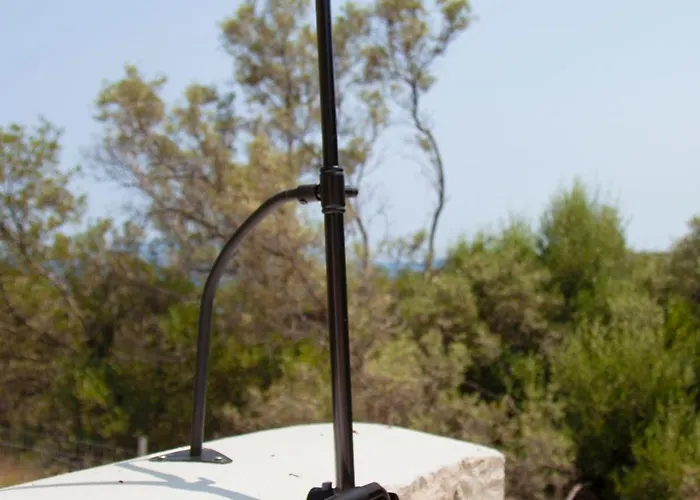 Dara And Todd * سيفوتا